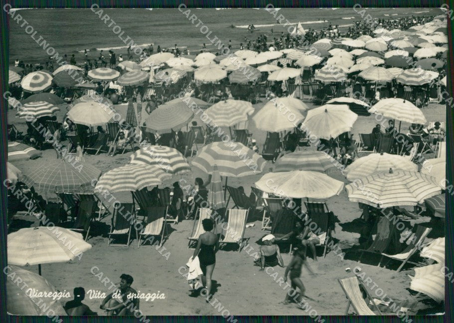 Lucca Viareggio Foto FG cartolina ZK2922 – fronte
