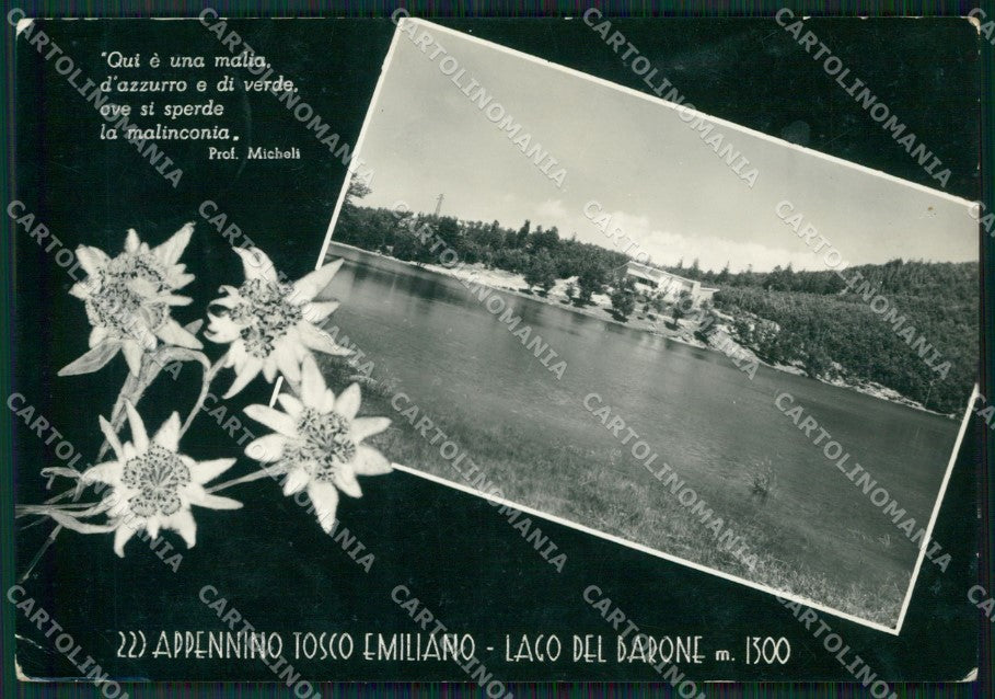 Reggio Emilia Lago del Barone PIEGHINE Foto FG cartolina ZK2933 – fronte