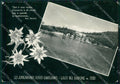 Reggio Emilia Lago del Barone PIEGHINE Foto FG cartolina ZK2933 – fronte