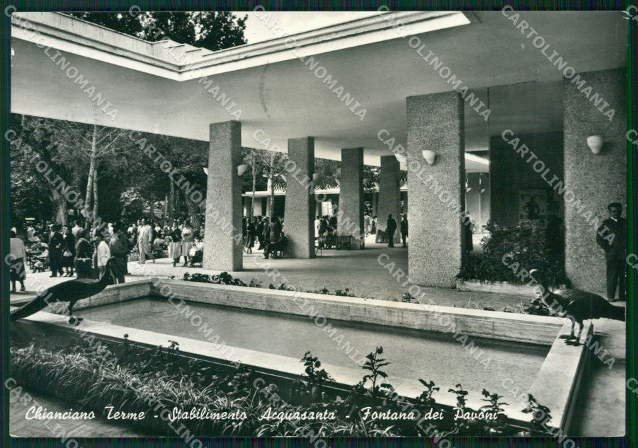 Siena Chianciano Terme PIEGHINA Foto FG cartolina ZK2946 – fronte