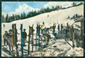 Torino Bardonecchia Sci Foto FG cartolina ZK3009 – fronte