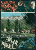 Torino Ceresole Reale Foto FG cartolina ZK3116 – fronte