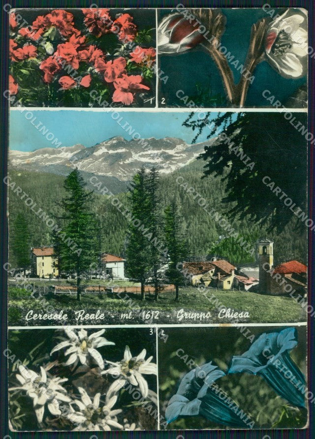 Torino Ceresole Reale Foto FG cartolina ZK3116 – fronte