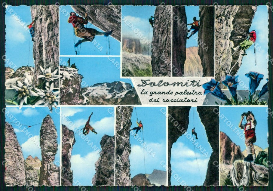 Belluno Pieve di Cadore Alpinisti Foto FG cartolina ZK3122 – fronte
