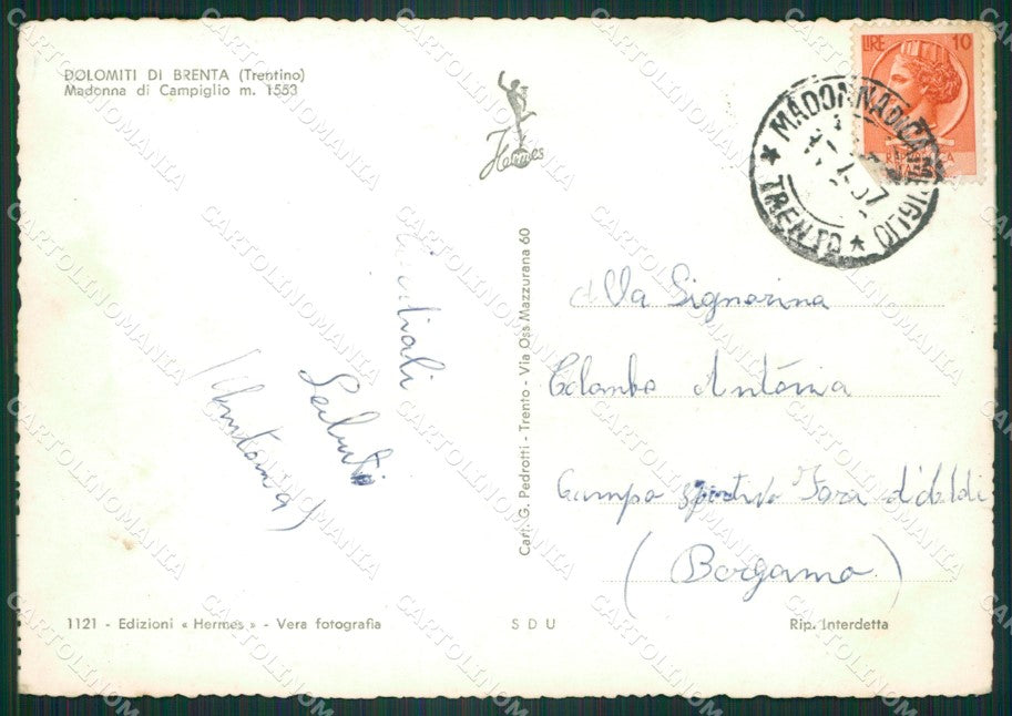 Trento Pinzolo Madonna di Campiglio Saluti da Foto FG cartolina ZK3137 – retro