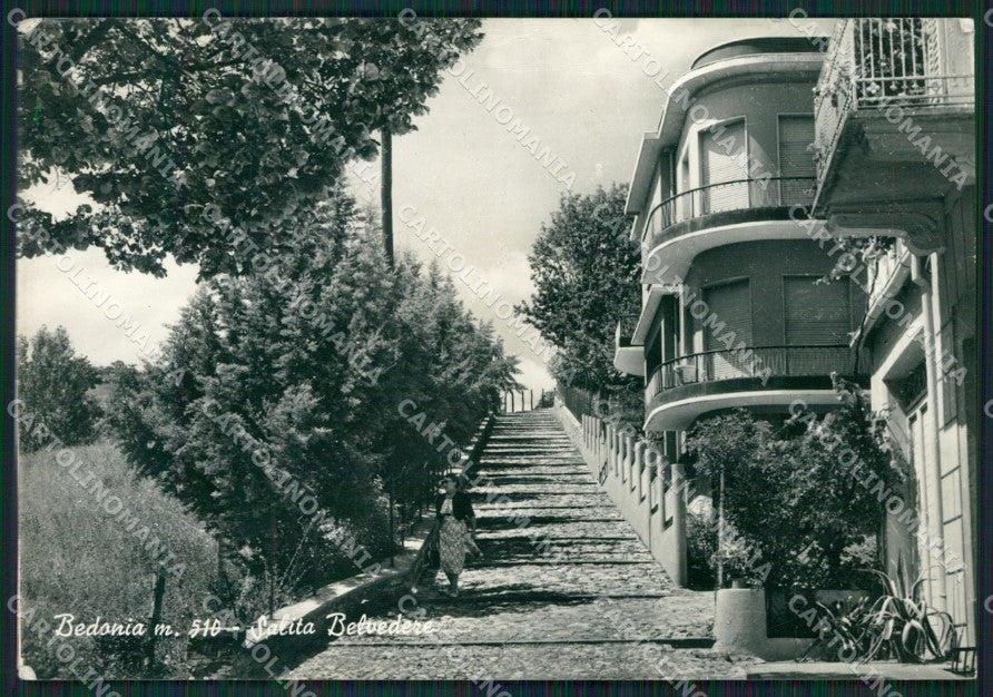 Parma Bedonia COLLA Foto FG cartolina ZK3145 – fronte