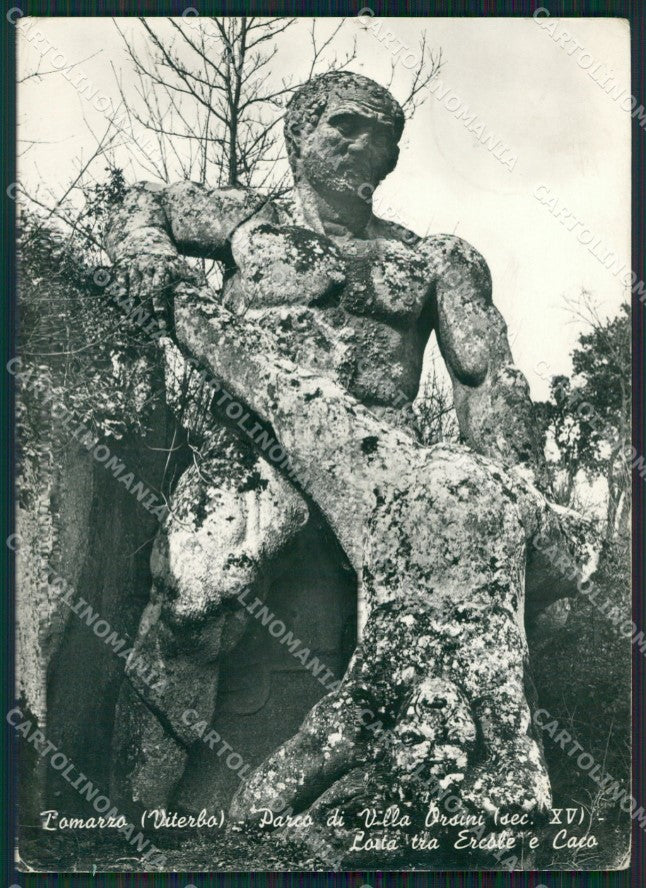 Viterbo Bomarzo Villa Orsini Foto FG cartolina ZK3161 – fronte