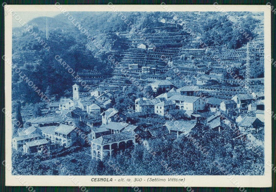 Torino Settimo Vittone Cesnola FG cartolina ZK3199 – fronte