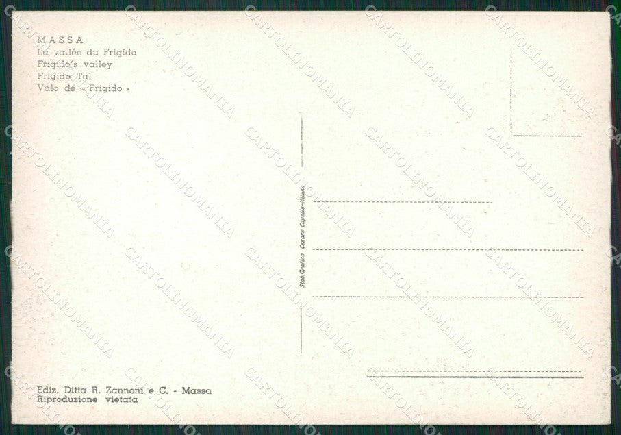 Massa FG cartolina ZK3308 – retro