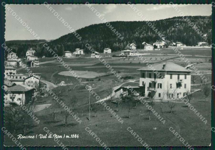 Trento Ranzone Foto FG cartolina ZK3321 – fronte