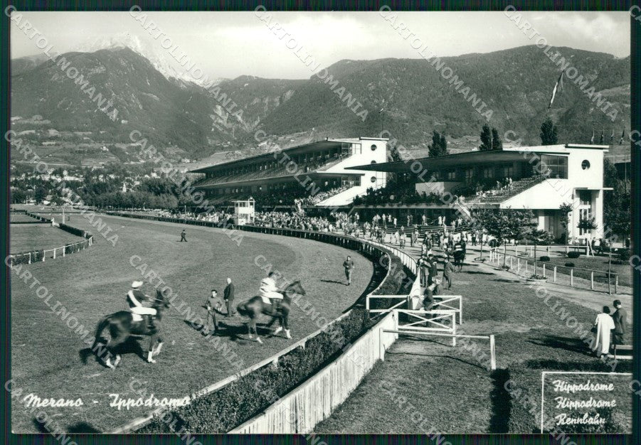 Bolzano Merano Ippodromo Foto FG cartolina ZK3508 – fronte