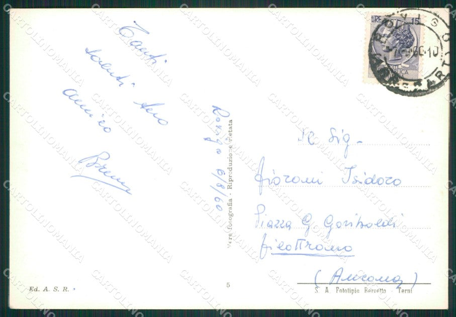 Rovigo Città Auto Foto FG cartolina ZK3522 – retro