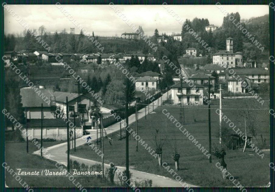Varese Ternate Foto FG cartolina ZK3524 – fronte