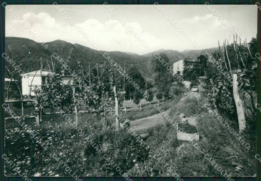 Genova Borzonasca Campori Foto FG cartolina ZK3553 – fronte