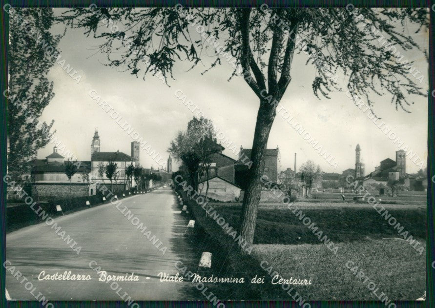 Alessandria Castellazzo Bormida Foto FG cartolina ZK3573 – fronte