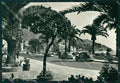 Genova Rapallo Auto Foto FG cartolina ZK3579 – fronte