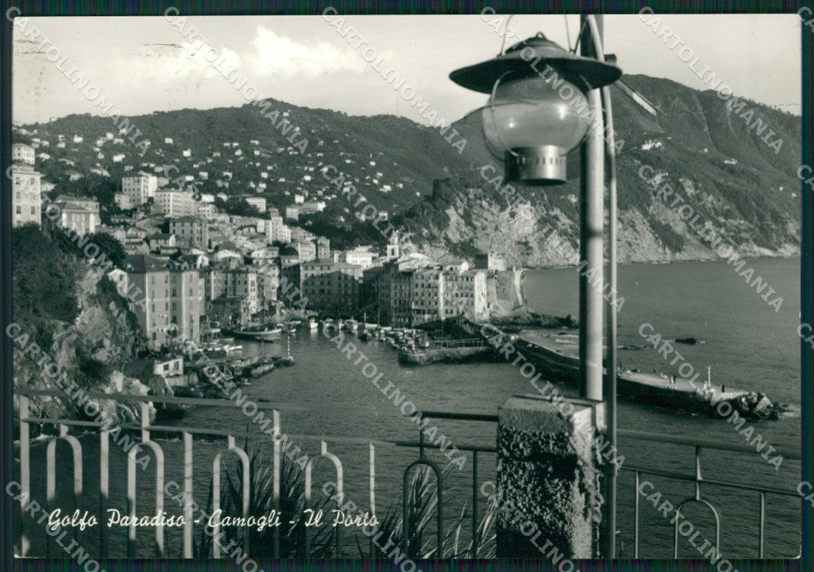 Genova Camogli PIEGA Foto FG cartolina ZK3580 – fronte