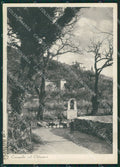 Perugia Campello Sul Clitunno Pecore FG cartolina ZK3674 – fronte