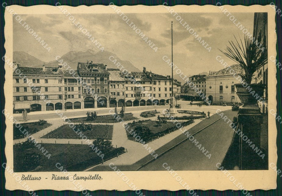 Belluno Città FG cartolina ZK3705 – fronte