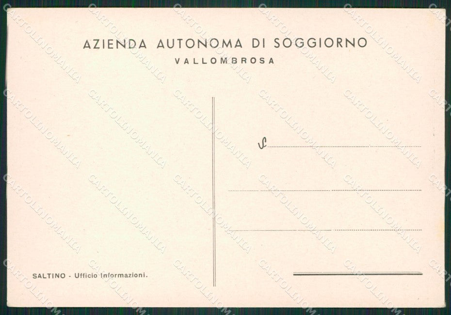 Firenze Vallombrosa Saltino FG cartolina ZK3890 – retro