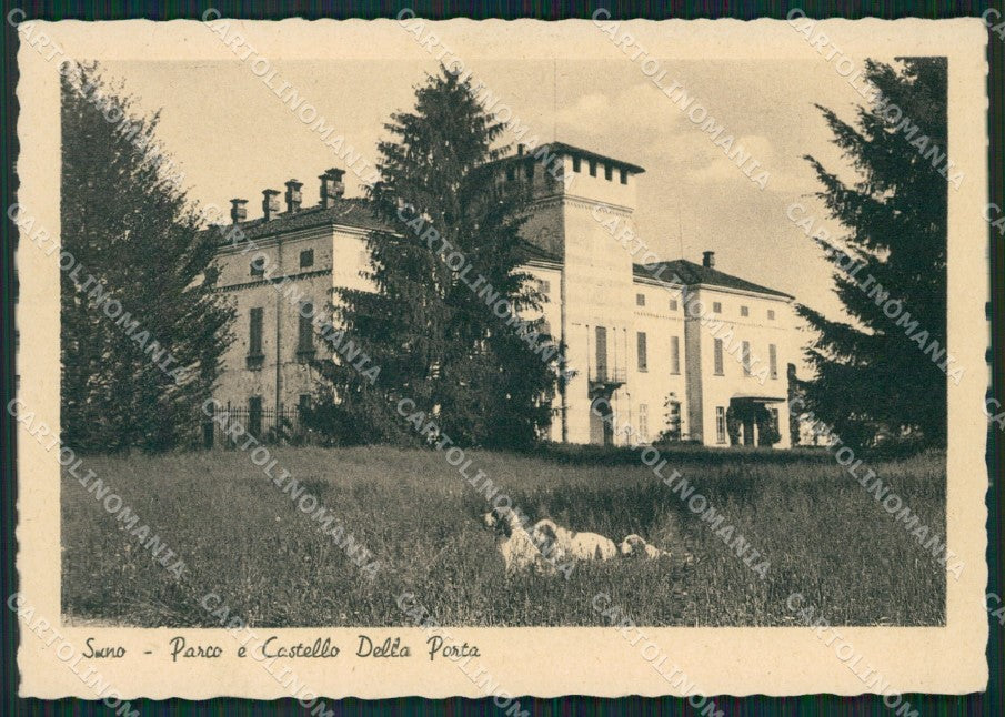 Novara Suno FG cartolina ZK3945 – fronte