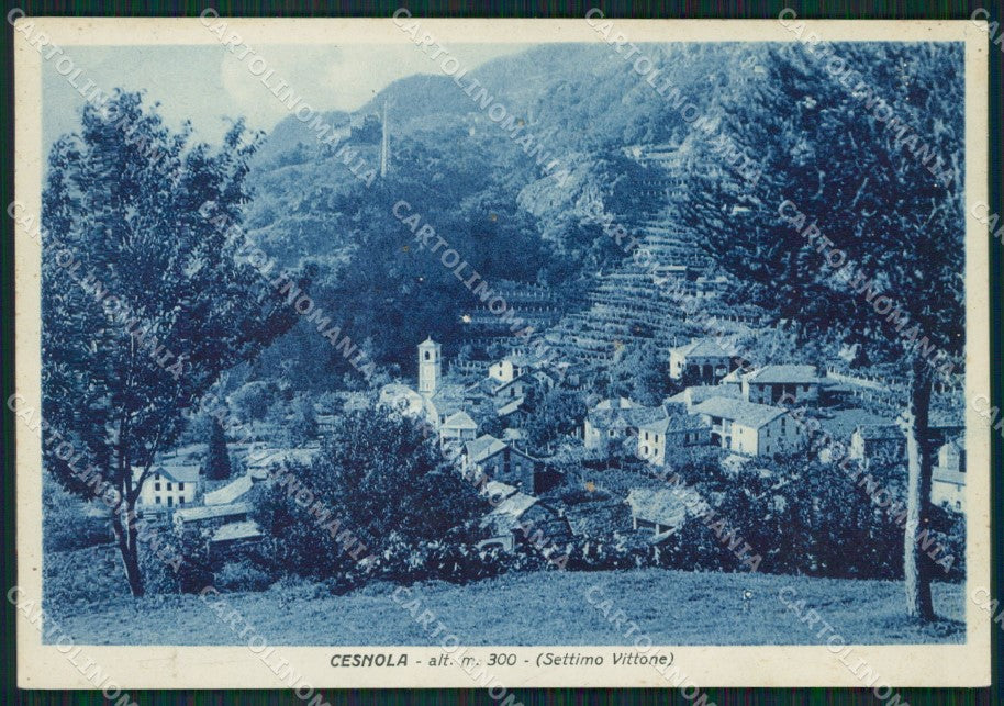 Torino Settimo Vittone Cesnola FG cartolina ZK3999 – fronte