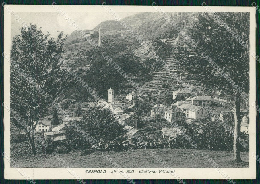 Torino Settimo Vittone Cesnola FG cartolina ZK4008 – fronte