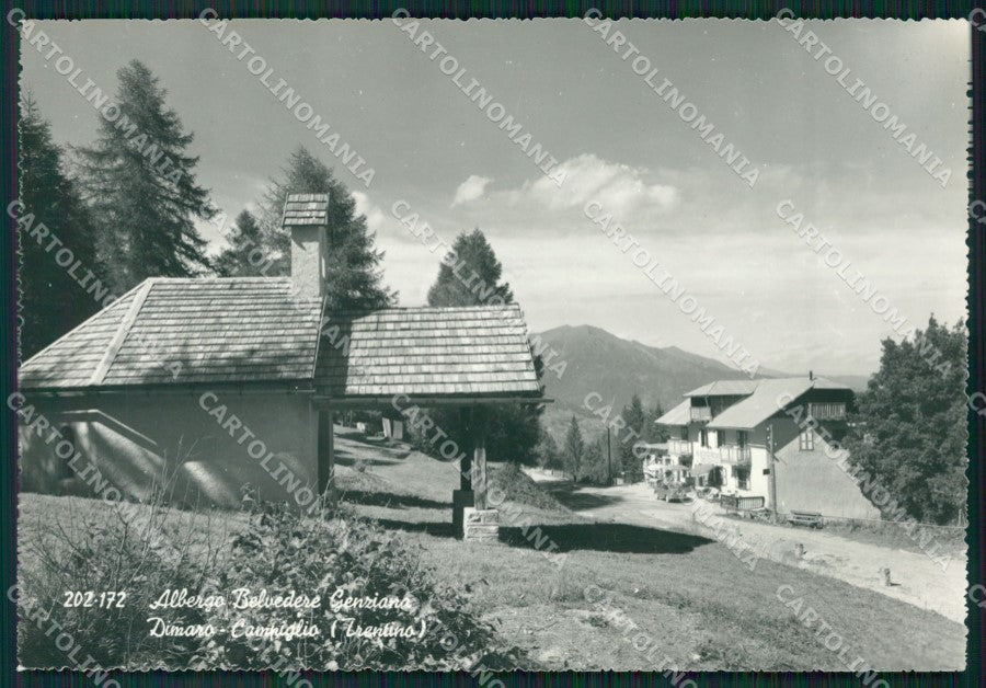 Trento Dimaro Campiglio Foto FG cartolina ZK4020 – fronte