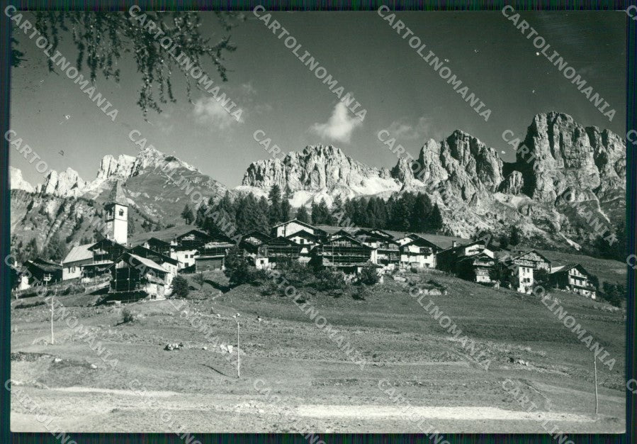 Belluno Falcade Foto FG cartolina ZK4038 – fronte