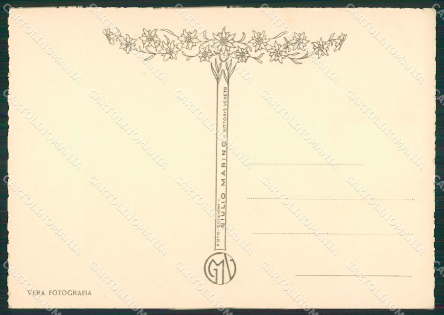 Belluno Agordino Frassenè Foto FG cartolina ZK4053 – retro