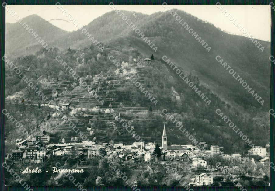 Verbania Arola Foto FG cartolina ZK4075 – fronte