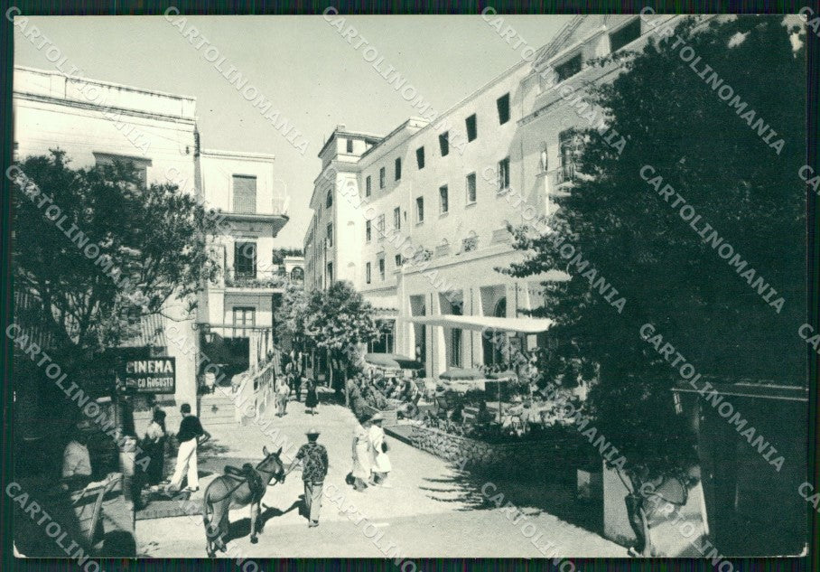 Napoli Capri Asino Foto FG cartolina ZK4105 – fronte