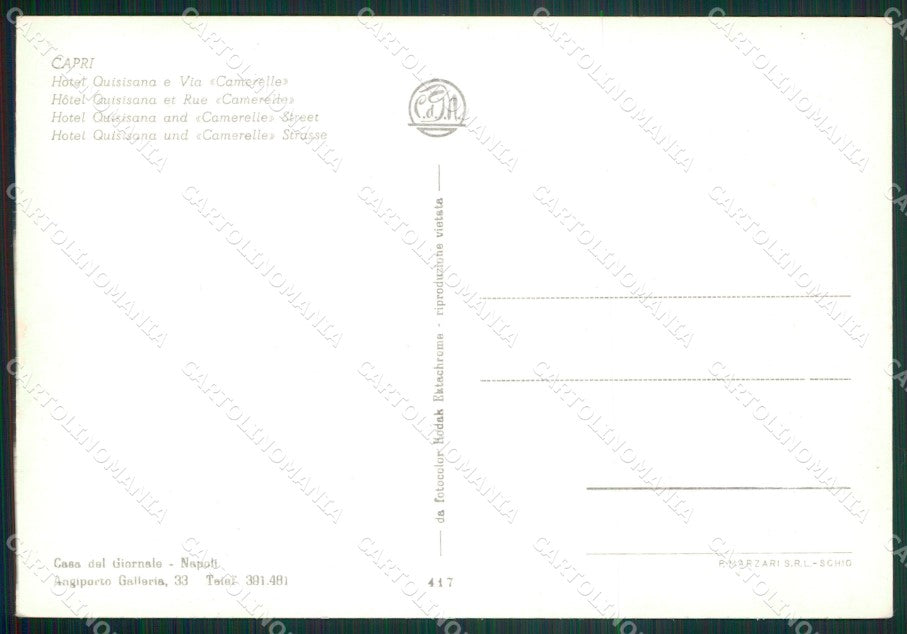 Napoli Capri Asino Foto FG cartolina ZK4105 – retro