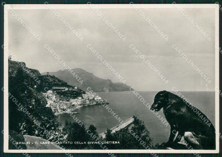 Salerno Amalfi Foto FG cartolina ZK4126 – fronte