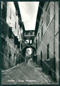 Perugia Spoleto Foto FG cartolina ZK4134 – fronte