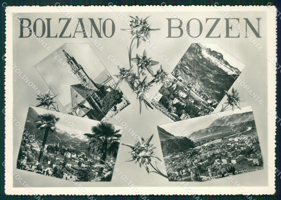 Bolzano Città Foto FG cartolina ZK4163 – fronte
