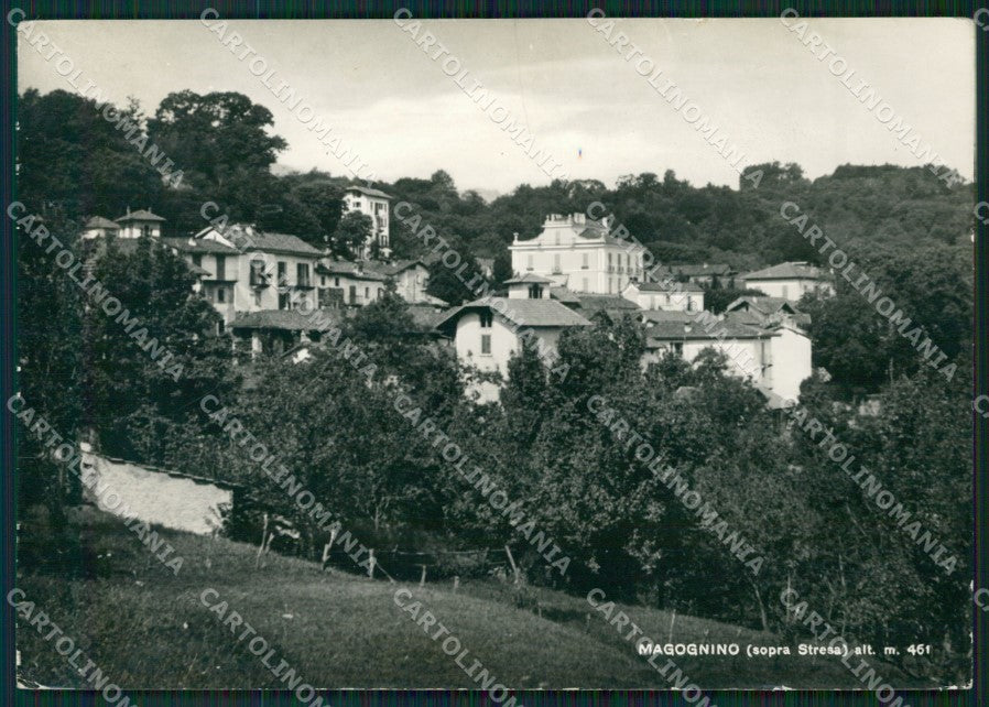 Verbania Stresa Magognino Foto FG cartolina ZK4197 – fronte