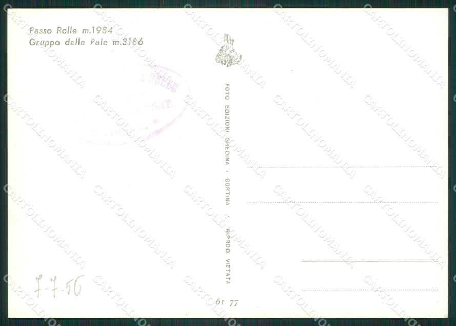 Trento Siror Passo Rolle Foto FG cartolina ZK4231 – retro