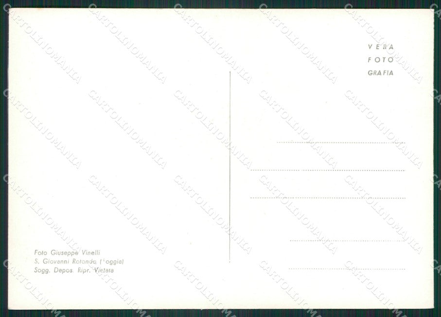 Foggia San Giovanni Rotondo Foto FG cartolina ZK4232 – retro