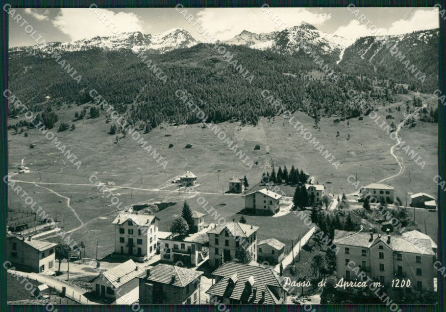 Sondrio Aprica Foto FG cartolina ZK4263 – fronte