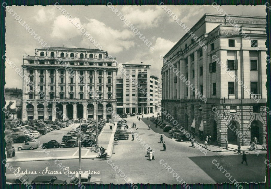 Padova Città Auto Foto FG cartolina ZK4272 – fronte