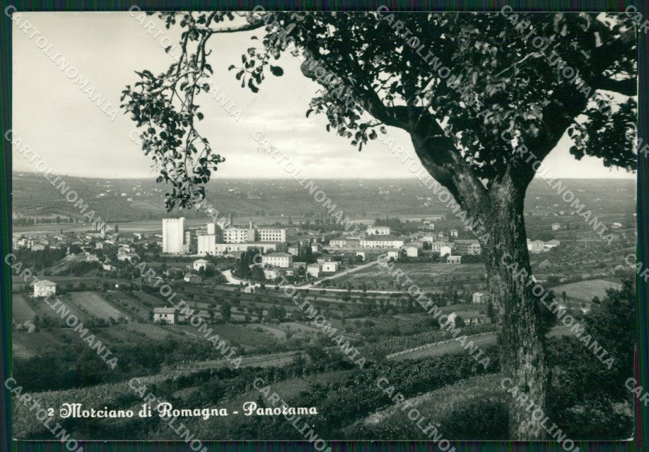 Rimini Morciano di Romagna Foto FG cartolina ZK4291 – fronte