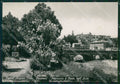 Piacenza Castell'Arquato PIEGHINA Foto FG cartolina ZK4292 – fronte