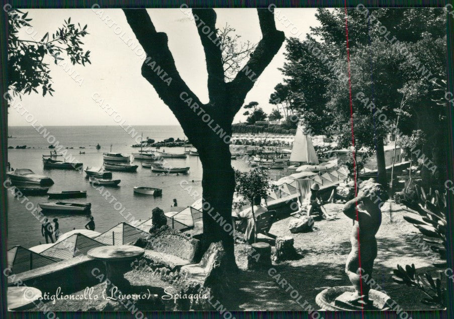Livorno Rosignano Marittimo Castiglioncello Foto FG cartolina ZK4347 – fronte