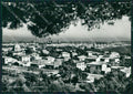 Livorno Rosignano Marittimo Castiglioncello Foto FG cartolina ZK4352 – fronte