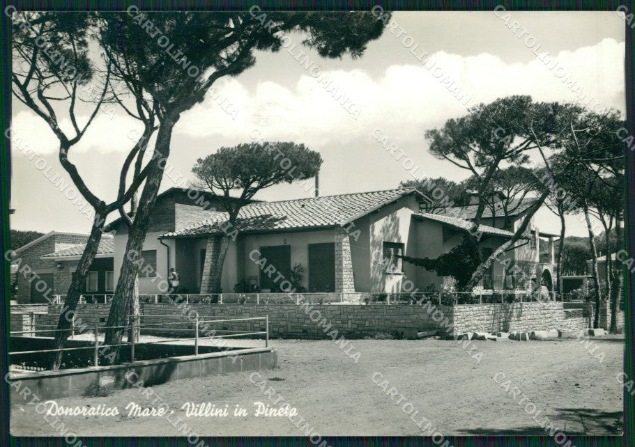 Livorno Castagneto Carducci Donoratico Foto FG cartolina ZK4358 – fronte