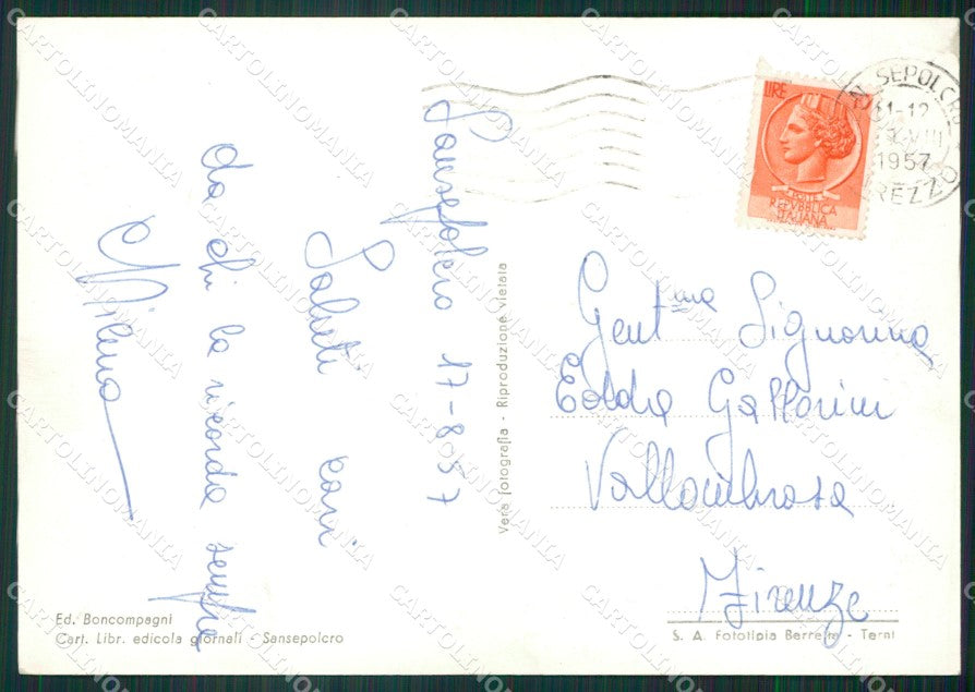 Arezzo Sansepolcro Foto FG cartolina ZK4366 – retro