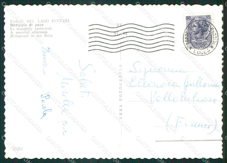 Lucca Viareggio Torre Del Lago Puccini Barca Foto FG cartolina ZK4370 – retro
