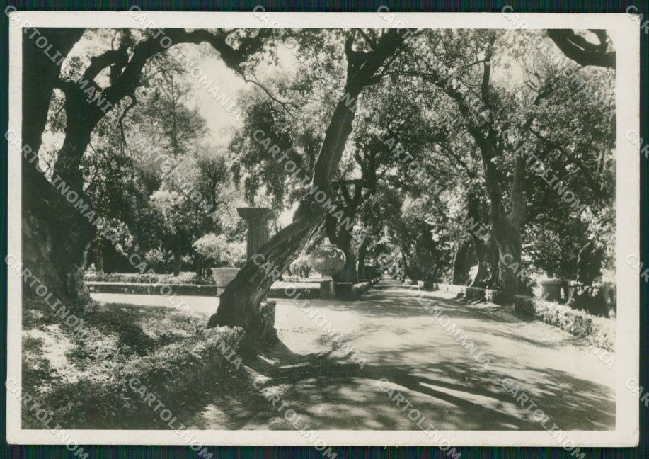 Roma Castel Gandolfo Villa Papale Foto FG cartolina ZK4448 – fronte
