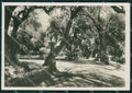 Roma Castel Gandolfo Villa Papale Foto FG cartolina ZK4448 – fronte